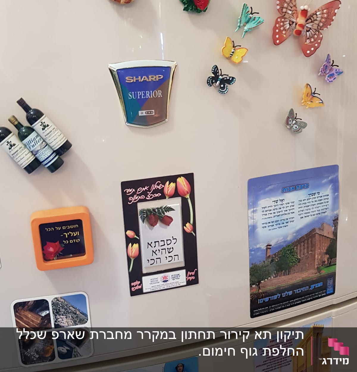 מגנטים על מקרר עם עיצובי פירות ופרפרים
